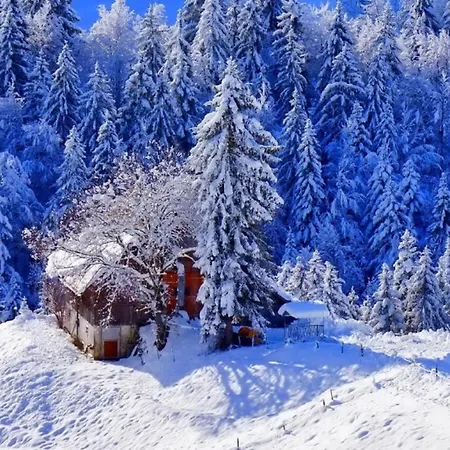 Zlota Rosa Zakopane